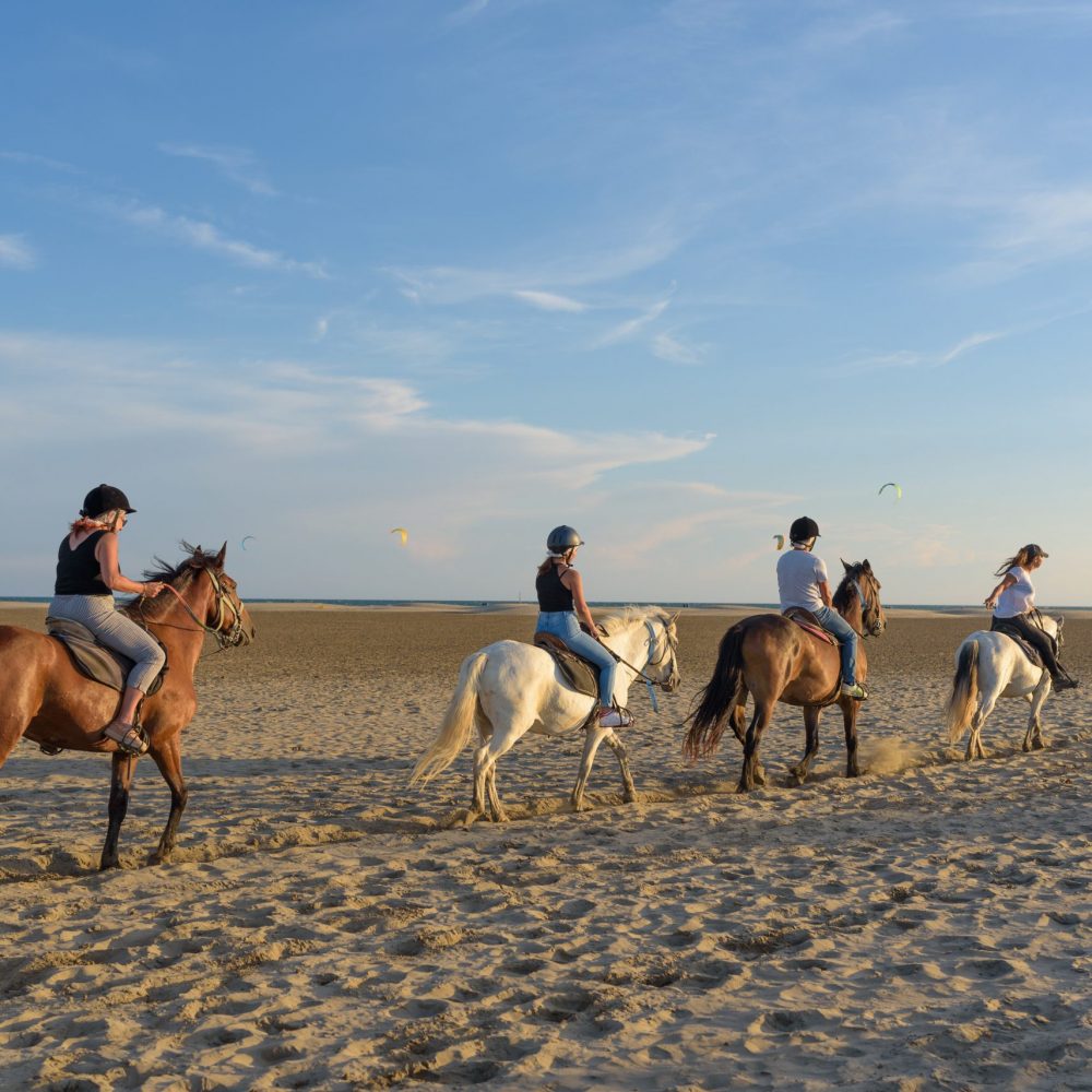 equipe office de tourisme  au grau du roi